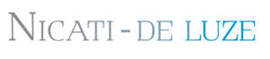 logo_nicatideluze_couleur 2